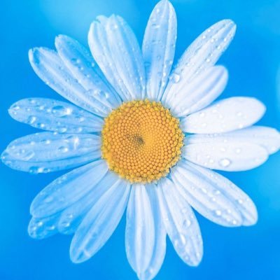 Cgangel113's profile picture. Love music, movies, plays, books, fun people, photography and Henry Cavill 🌸