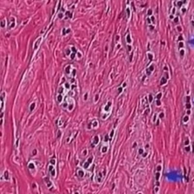 deepa_ramiah's profile picture. In the world, where you can be anything, Be kind