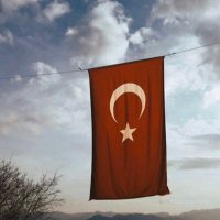 Soğan Cücüğü (@cc2soan) Twitter profile photo