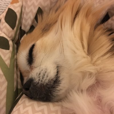 negahuda's profile picture. 好きフォロー用