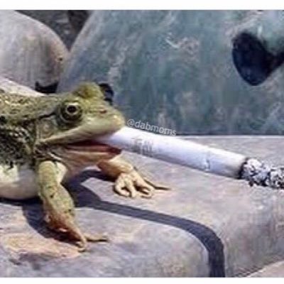 harryazzman's profile picture. 