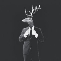 Fushi (@dmotmonai) Twitter profile photo