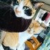 Shintya_620 (@620shintya) Twitter profile photo Shintya_620 (@620shintya) Twitter profile photo