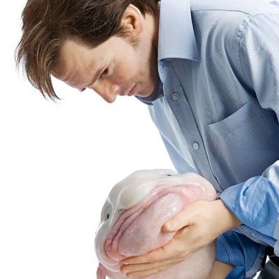 Wreckingball421's profile picture. 