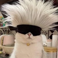 it me (@it_me666) 's Twitter Profile Photo it me (@it_me666) 's Twitter Profile Photo