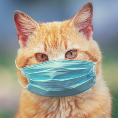 nft_nnn's profile picture. hi guys