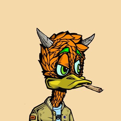 Into Web3+Jpegs | Mod in Solana Hills 🏔| Discord: Rueby#4114