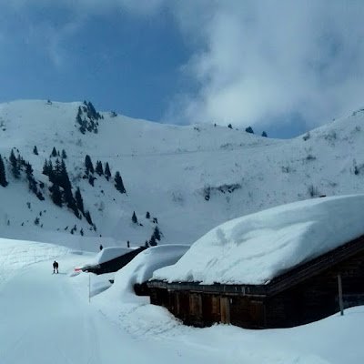 DominicHarrin14's profile picture. 