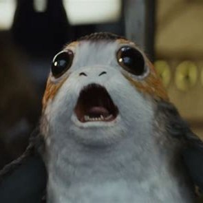 akyLiiii's profile picture. un simple gars qui veut s'en sortir 🤟
ecommercant, projet en tout genre, ex sportif de haut niveau ✌️