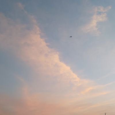 yuzuha_a1010's profile picture. ✨ねこ好き✨動画編集の勉強中です。

サンリオぼさにまる推してます💝💜💚

🍀好きなアーティスト🍀水樹奈々、三浦大知、VALSHE、ナノ