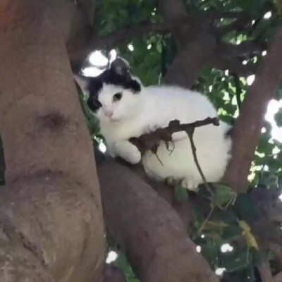 Maruko丸子さんのプロフィール画像
