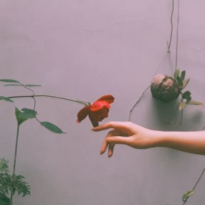 crazyperry4's profile picture. i dont know what the hell im doing