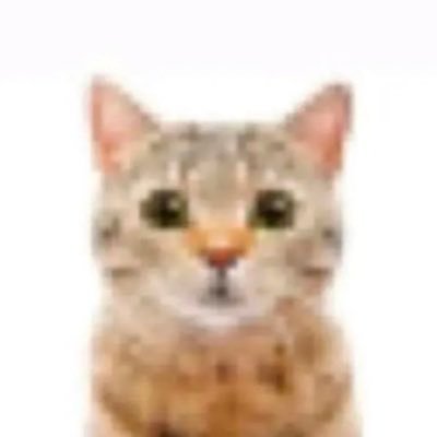 iloafecats's profile picture. any pronouns
