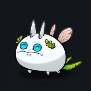 guanjie70579366's profile picture. To the moon space frog!