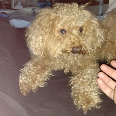 katana400br's profile picture. 自作PC クルマ バイクが趣味でイジるのが大好きです。 宜しくお願いします😄。