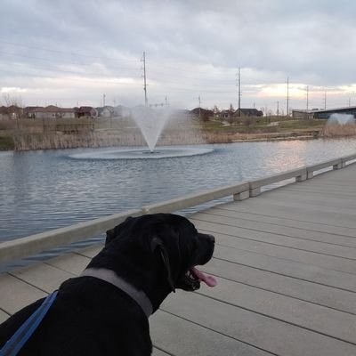 f_piepho's profile picture. A guy that says stuff and things.