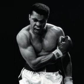 Zarrar_2's profile picture. I have my own fiqah and own ideology. 
Quran and Sunnah are the only frame of reference. 
Pakistan: Soul, Pakistan Army: Love and KSA: Respect.
Truth above all