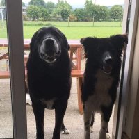 John Murphy (@johnmurphy50) 's Twitter Profile