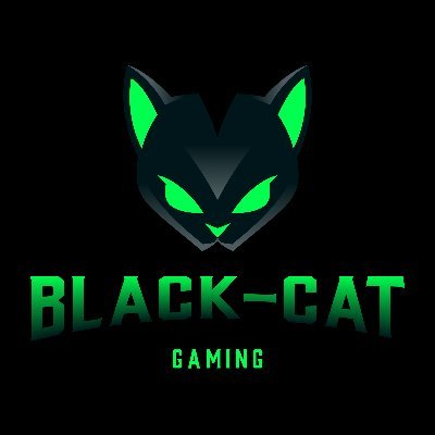 Hello tu cherches un Stream de qualité tu es au bonne endroit, moi c'est black cat, rejoins-moi pour participer à différents jeux FPS MMORPG.