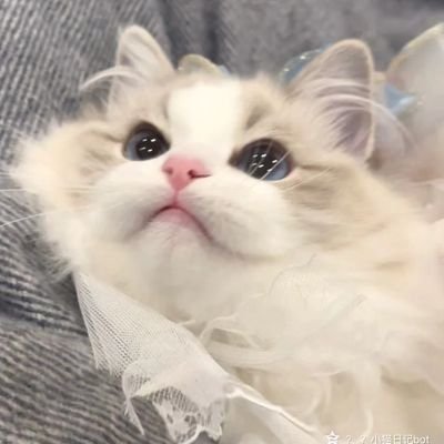 堆高高さんのプロフィール画像