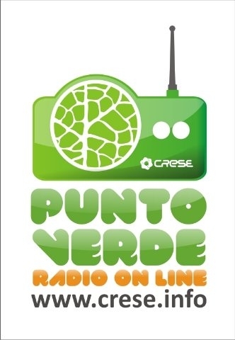 Radio on line: Una propuesta atravesada por la información y la buena música. Un espacio para difusión y la concientización para una ciudad sustentable.