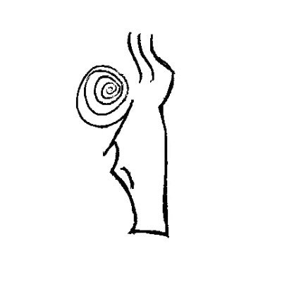 @CompSciOxford @UniofOxford Compositionality-Cognition-Consciousness