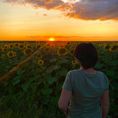 IShakhmann's profile picture. i am building the future