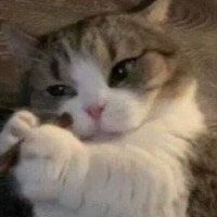 wen (@weiwei5271) 's Twitter Profile