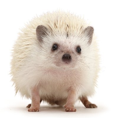 TaylorCrowder19's profile picture. 