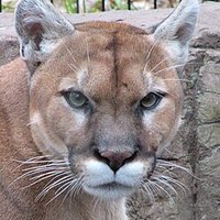 Esteban J Trejo J (@jehutjimenez) 's Twitter Profile