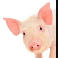 Barry (@barry8319) 's Twitter Profile