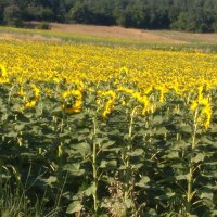 umut-Ekim 43-39 (@umut25saat) Twitter profile photo