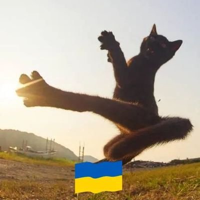 LiinaLuup's profile picture. European, estonian, strong supporter of Ukraine and EU. Fascinated by environment, animals and politics.