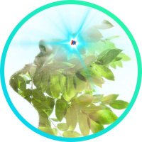 🌱 C.C. Atman ⚡ (@cc_atman) 's Twitter Profile Photo 🌱 C.C. Atman ⚡ (@cc_atman) 's Twitter Profile Photo
