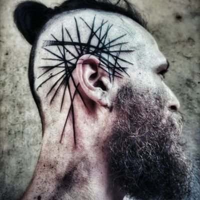 Stördさんのプロフィール画像