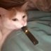 TheDailyFucc (@thedailyfucc) Twitter profile photo TheDailyFucc (@thedailyfucc) Twitter profile photo