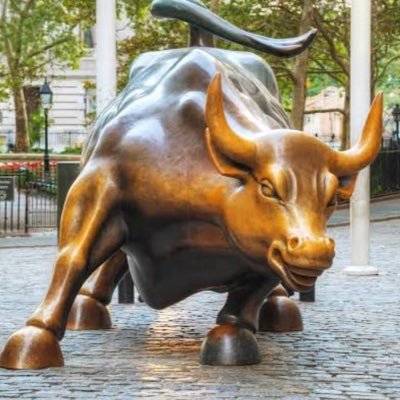Investor 📊. None of what I post should be considered financial advice, DYOR.