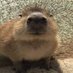 Izzy (@izzy243567) Twitter profile photo Izzy (@izzy243567) Twitter profile photo