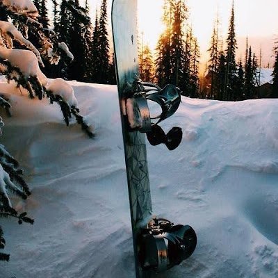 eidan_erlich's profile picture. 