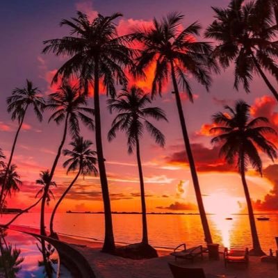 lekingjamal's profile picture. Scorpion♏️| Real Madrid 🏆| Cryptomonnaies | Business  | Metaverse | Web3.0 | NFT | Mystère | Agriculture | Santé | Énergie | Enjoy