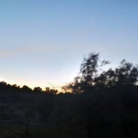 nidhal mansour (@nidhalmansour2) 's Twitter Profile