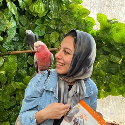 rawanelsayedali's profile picture. got a lot of cotton candy in my head