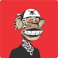 Top Apes (@pakistanreales4) 's Twitter Profile