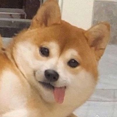 Касяさんのプロフィール画像