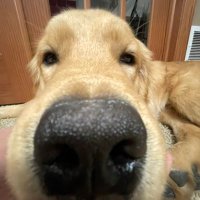 Mikayla (@mmikayla1661) 's Twitter Profile