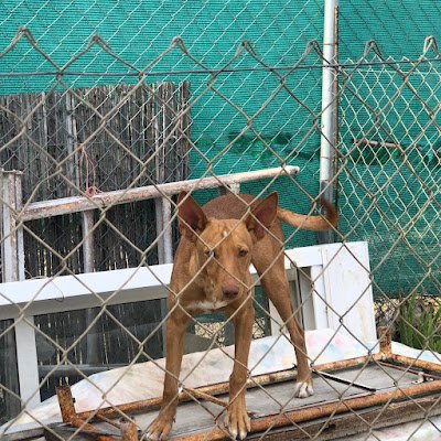 PabloRu37221480's profile picture. 