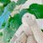 かおりのアイコン