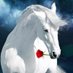 شبابيه ومن قدي 🖤🤍 (@hgf55547139_hgf) Twitter profile photo شبابيه ومن قدي 🖤🤍 (@hgf55547139_hgf) Twitter profile photo