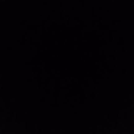 BakianilgobelL's profile picture. 