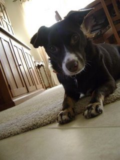 hellokatie_143's profile picture. 